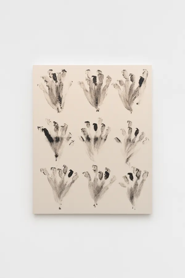 Bruno Baptistelli, Sem título [Untitled] (Op. 3), 2026