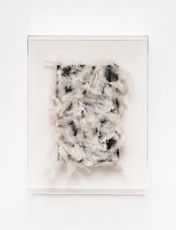 Caetano de Almeida, Vendetta, 2025