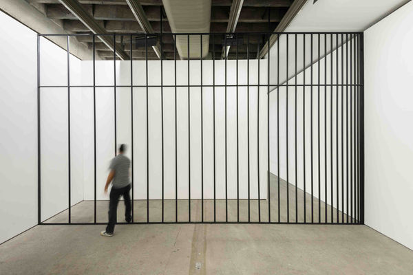 Eduardo Basualdo, La caída, 2013