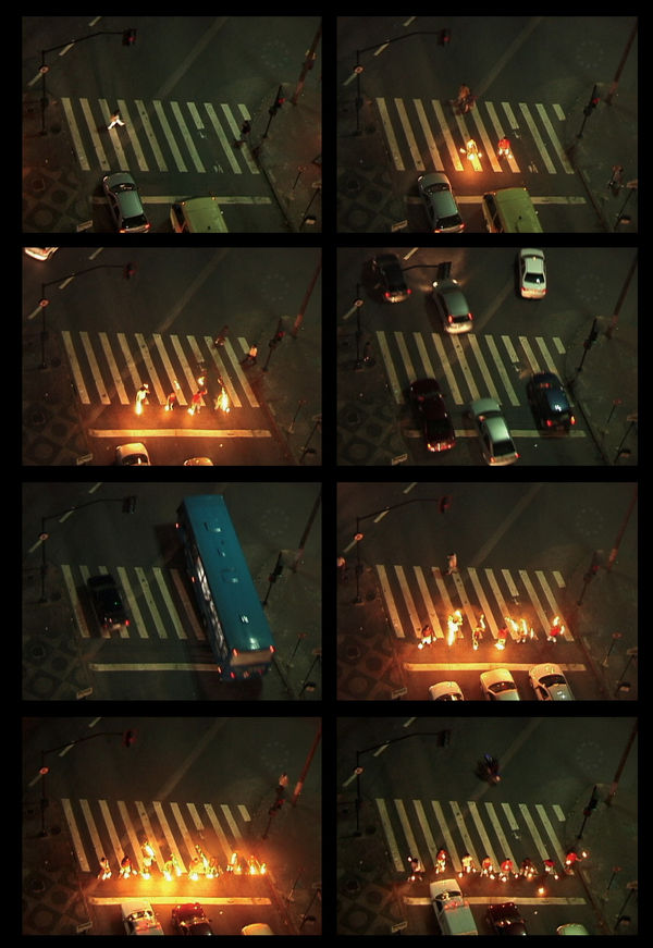 Cinthia Marcelle, Confronto, 2008