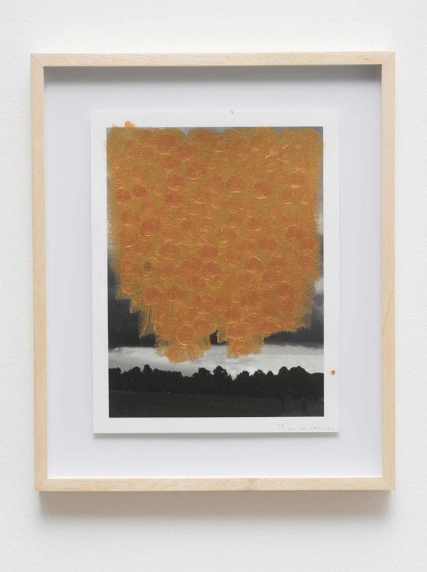 Marina Saleme, Sem título, 2015