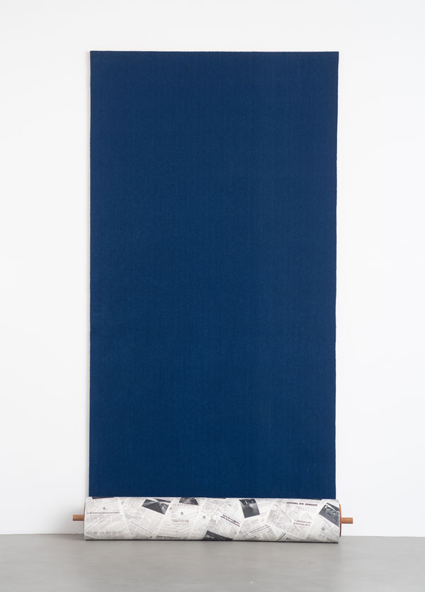 Cinthia Marcelle, Anexo do Salão Azul, 2023