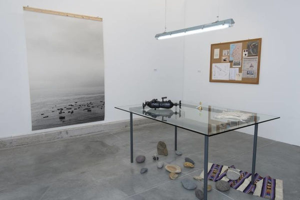 Beto Shwafaty, El Museo Imposible de las cosas vivas Departamento de Integración pan-continental (área de contacto triangular), 2014