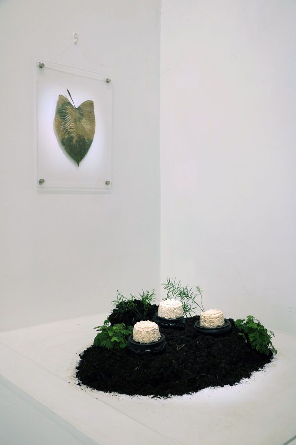 Victoria Pham, Lunar offering, 2025