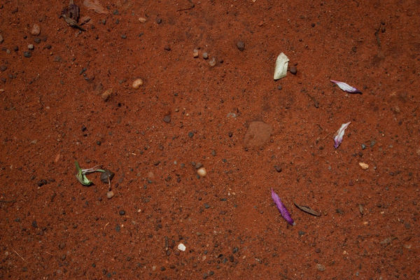 Phu Lang Sa Collabtive, Maya de Vulpillières, Phnom Koulen, Cambodia, 2023