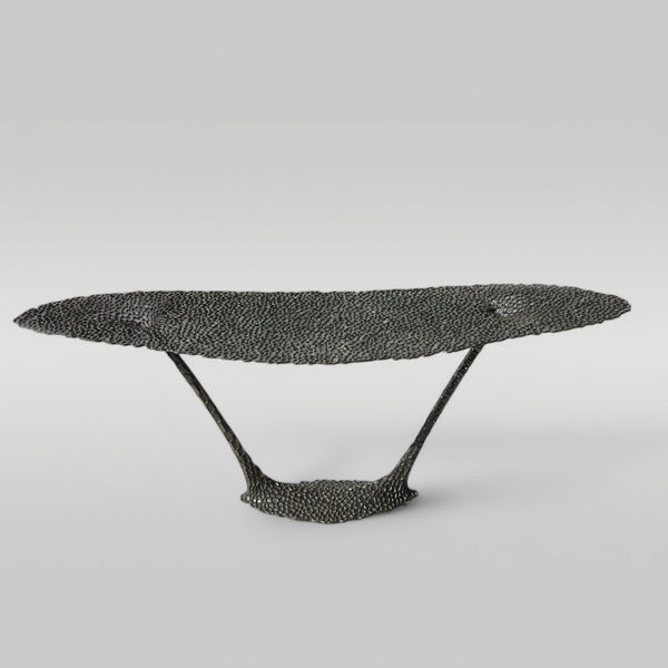 Ayala Serfaty Consola