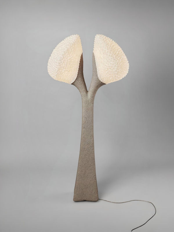 Ayala Serfaty Chaga, 2018