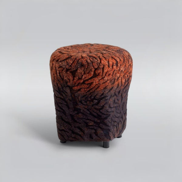 Ayala Serfaty Shastool Will