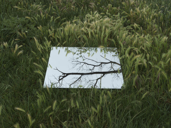 Alexandre DUFAYE, Retour sur Terre, 2019