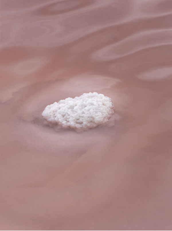 Alexandre DUFAYE Repenser le vivant , 2021 151 x 115 cm