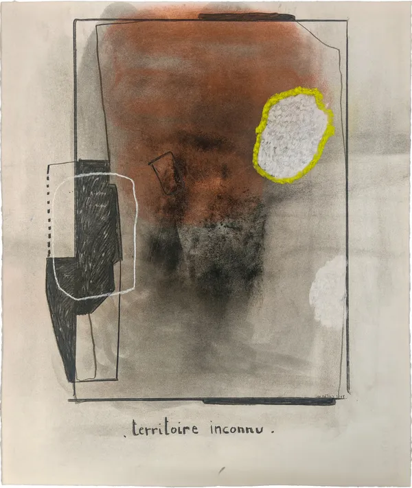 Jean-Michel ALBEROLA, Territoire inconnu, 2018