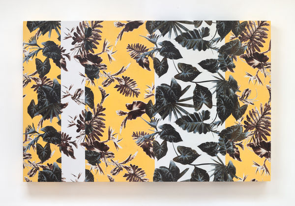 Pascal PINAUD, Sans titre, 2024