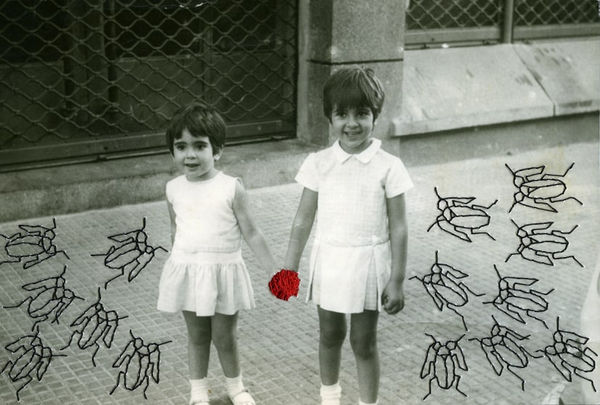 Carolle Bénitah, Les cafards, 2009-2014