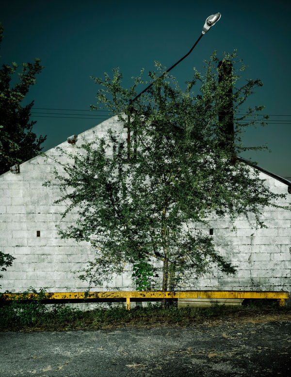 Sans titre (Mussy-sur-Seine)