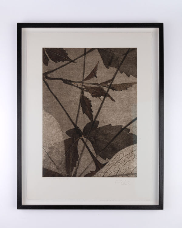 Un jardin pour Eugène D. #01