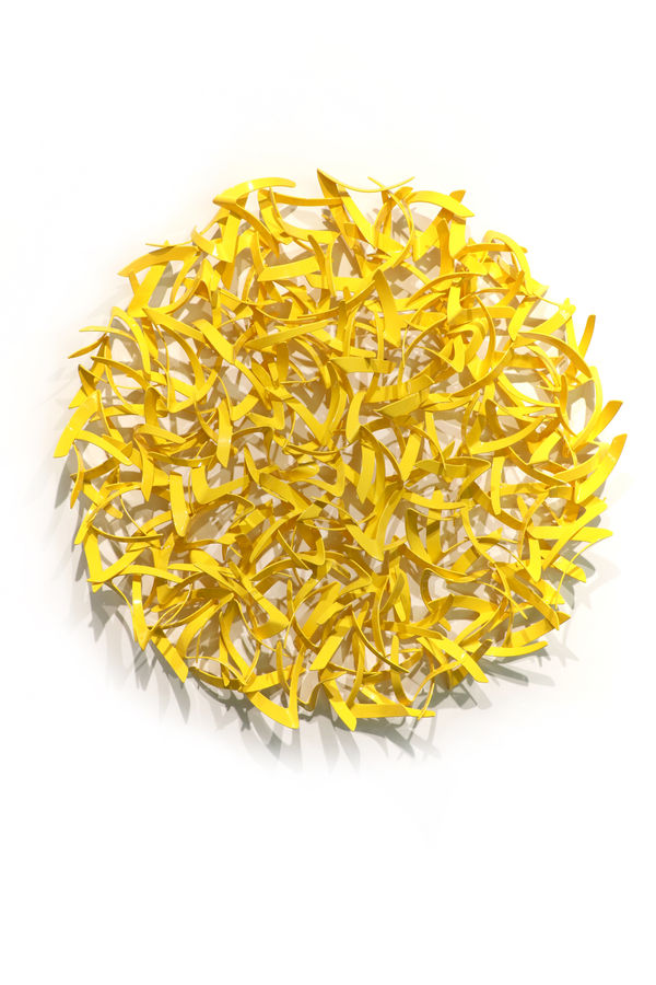 Matt Devine, Wilson's Warbler, 2024