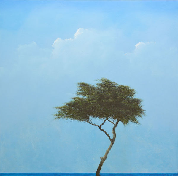 Robert Marchessault, Windigo, 2024