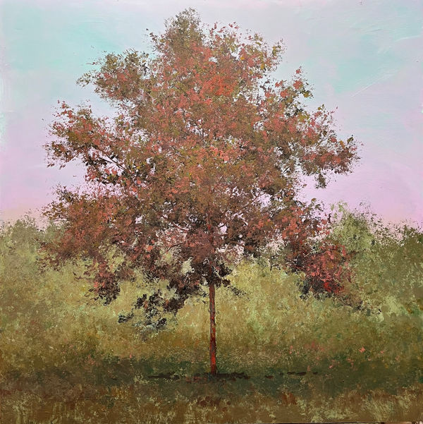 Peter Hoffer, Belle, 2024