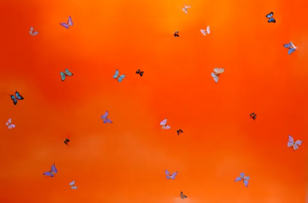 Damien Hirst, The Sunshine in You, 2007