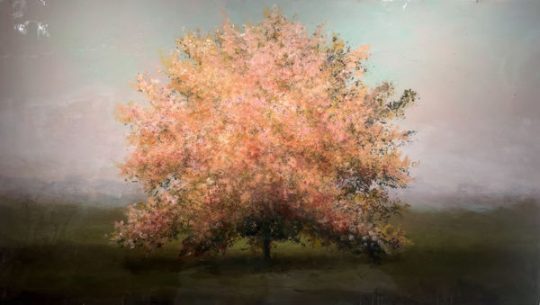 Peter Hoffer, Artemis, 2024