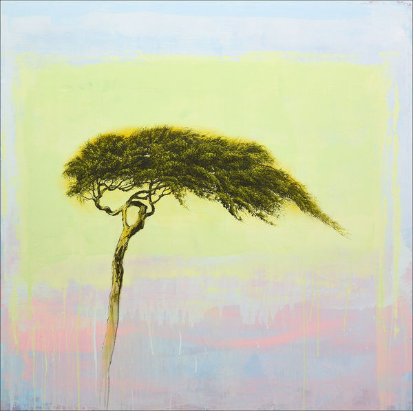 Robert Marchessault, Trachili, 2021