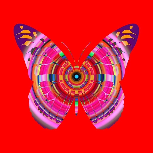 Franco DeFrancesca, Exteroceptive, 2022