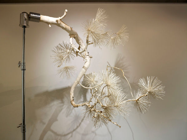 Shi Jinsong 史金淞, Pavilion Garden 游園, 2012