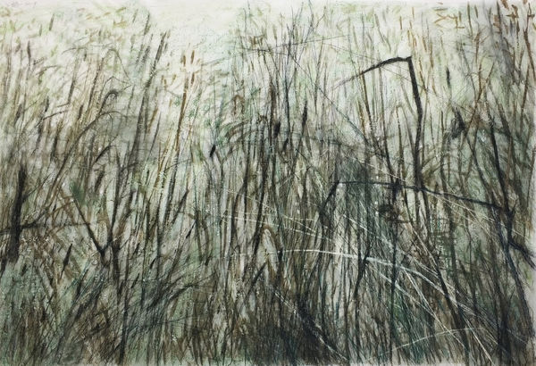 Wang Gongyi 王公懿, Leaves of Grass No. 6 草葉集之六, 2019