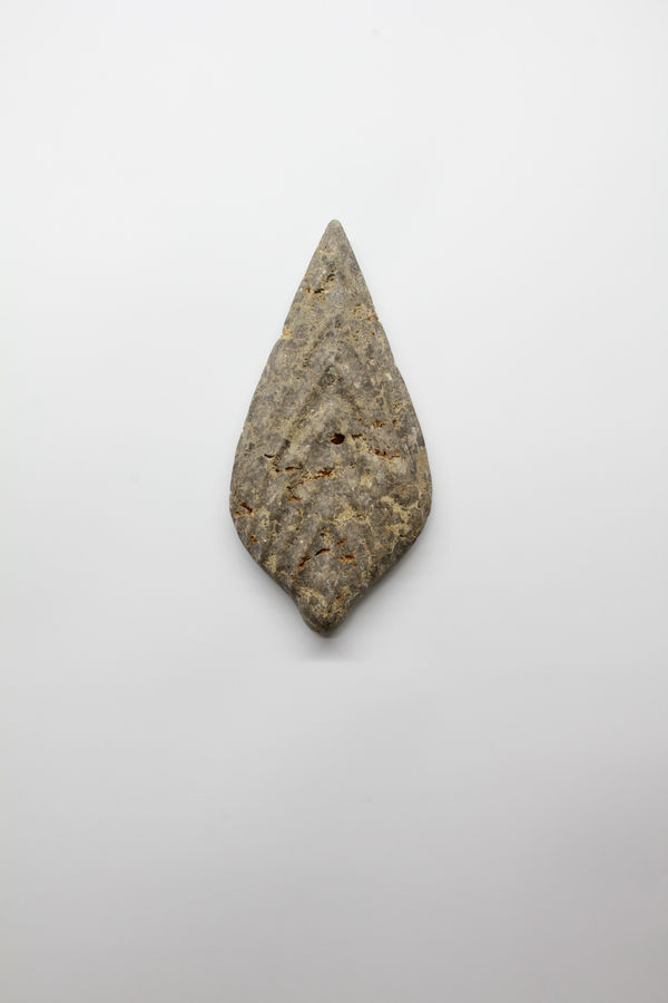 Paul Diestel, Neoflabellina II, 2025