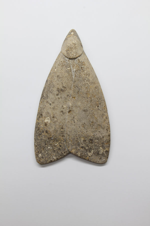 Paul Diestel, Falter, 2025