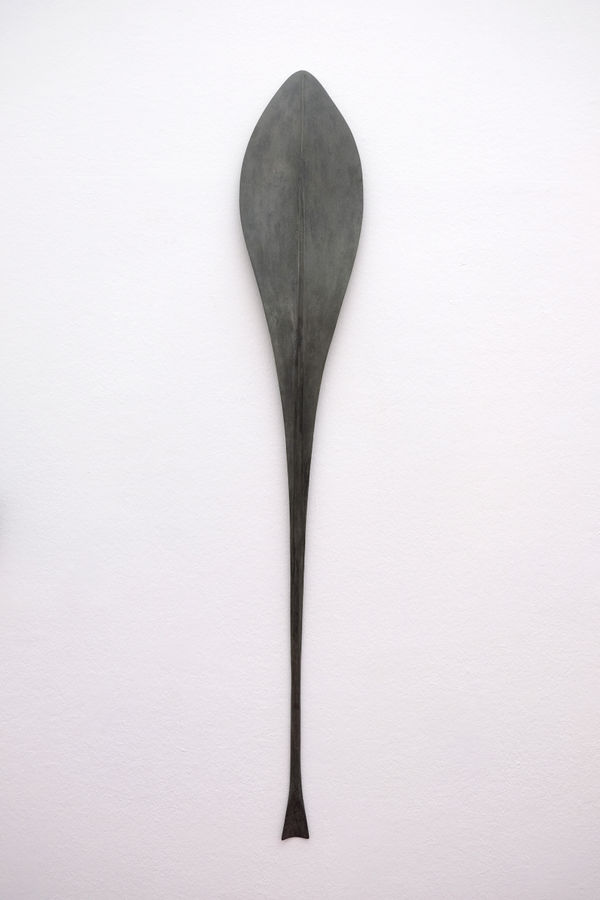 Paul Diestel, Taraxacum (Löwenzahn), 2018