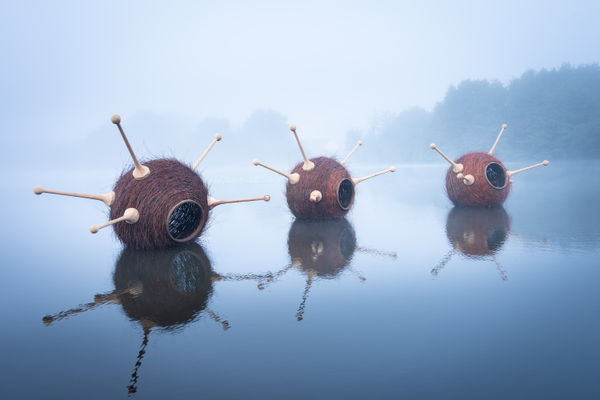 Roger Rigorth, Strange occupants, 2025