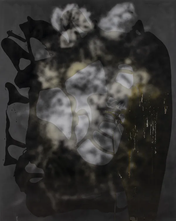 Heikki Marila, Kukat CCXVIII (218.), 2025