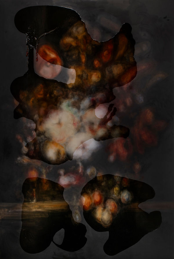 Heikki Marila, Kukat CCXXV (225.), 2025