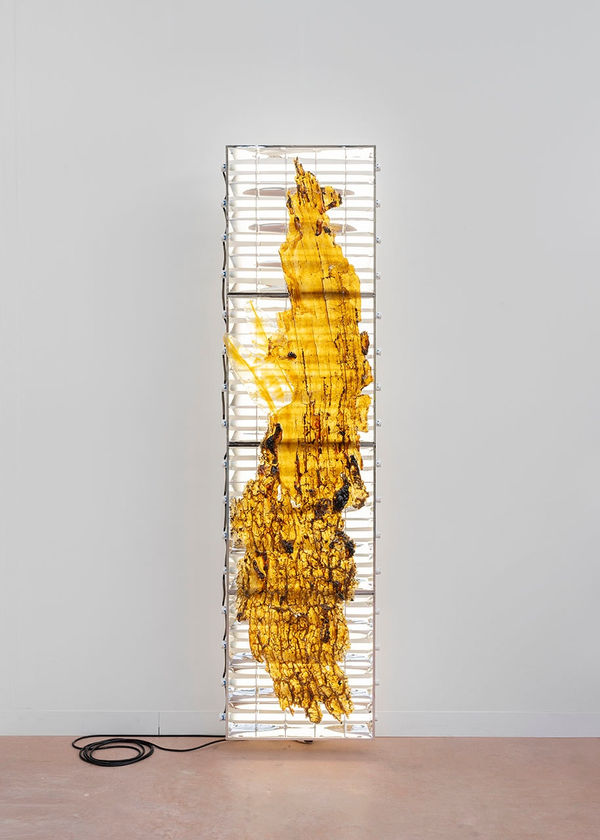 Chloé Delarue, TAFAA - UNNECESSARY DOUBT (SNITCH IV), 2025