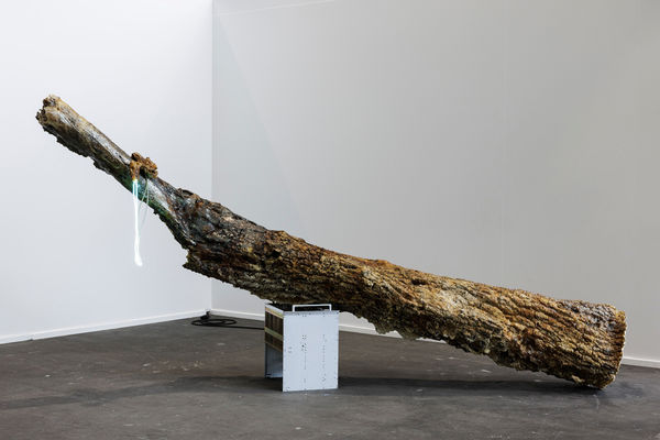 Chloé Delarue, TAFAA - DAISY CHAIN - (Unnecessary Doubt), 2025