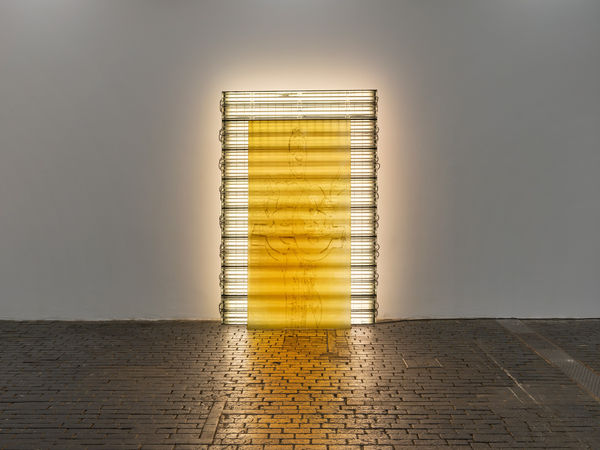 Chloé Delarue, TAFAA - ONLY RELICS FEED THE DESERT (New Fraudulent Taxonomy), 2021