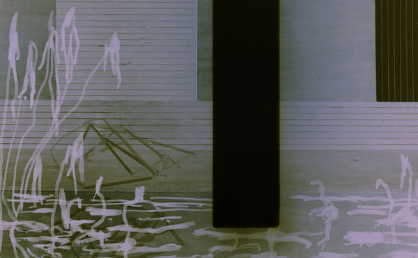 Thibault Hazelzet, Narcisse #18, 2008