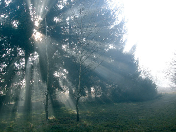 Véronique Boudier, Luce, 2008