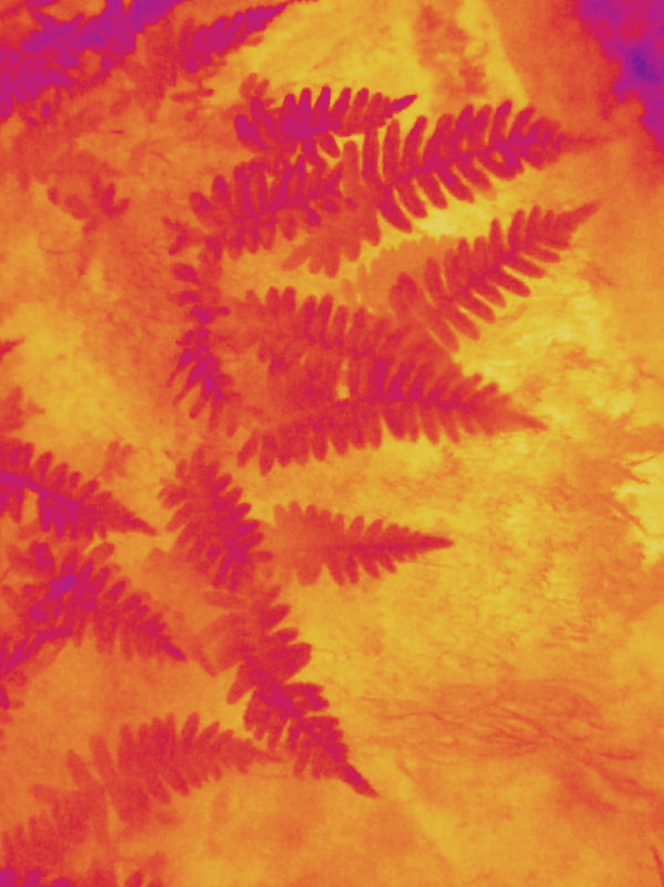 SMITH, Sans titre 020 (Désidération, Anamanda Sin), 2021