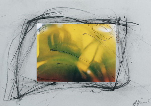 Arnulf Rainer, Pierre Molinier Ubermalung #12, 2008