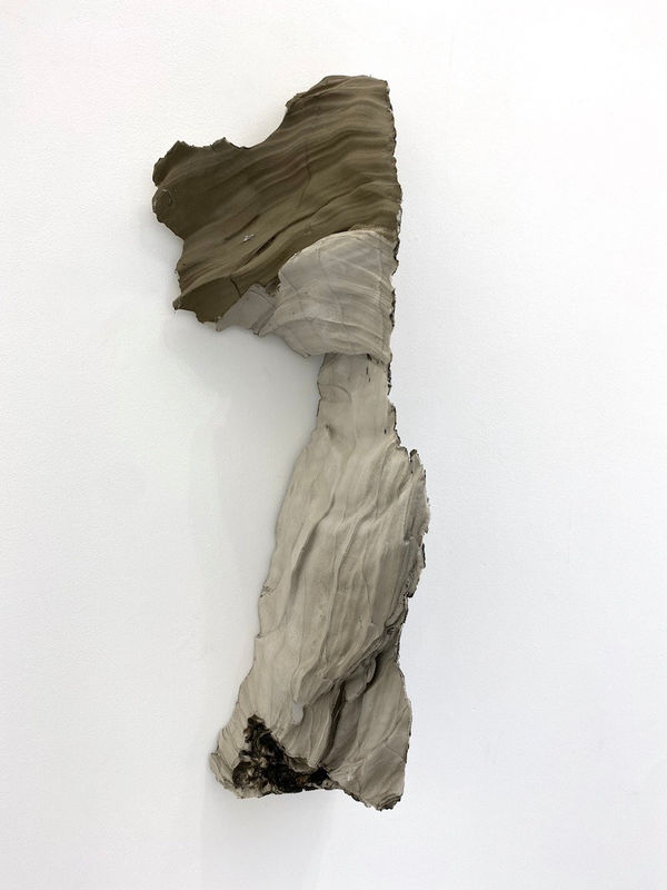 Anita Molinero, Vic, 2015