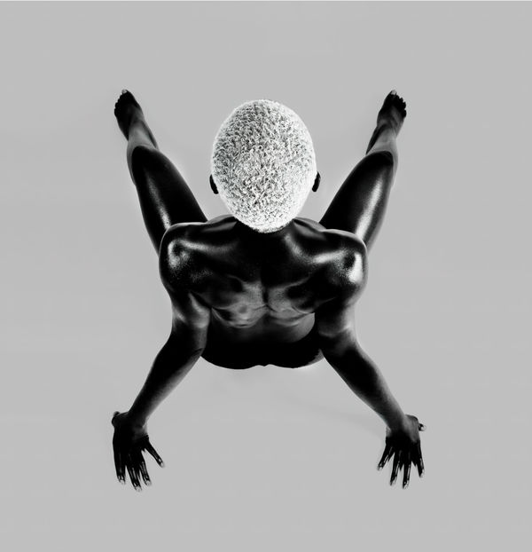 FX PELISSIER, BLACKBIRD III, 2021