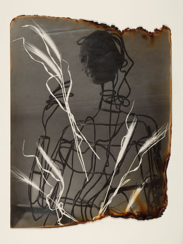 Pierre JAHAN: The Surrealist Herbarium