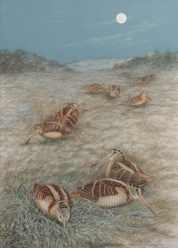 Pierre Roussia, Bécasses au clair de lune