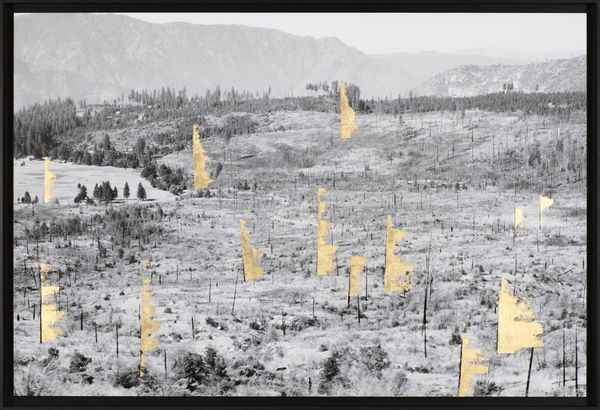 Stéphane Thidet, Errance (4), 2019