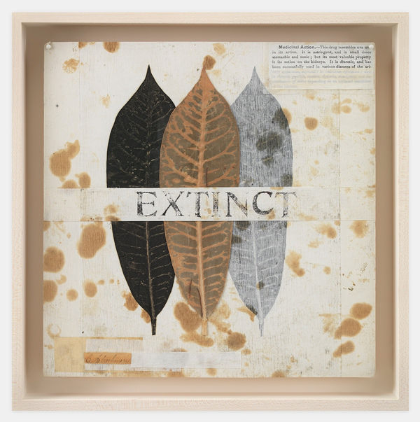 Michelle Stuart, Extinct No. 5, 1992