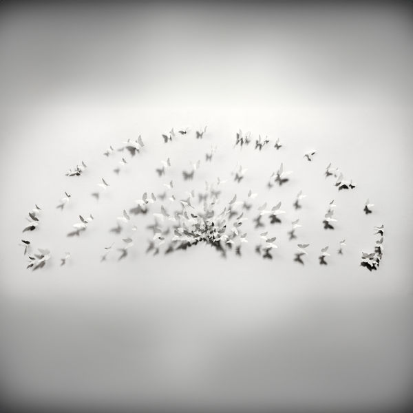 Paul Villinski, Radius, 2017