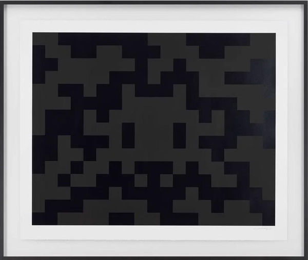 Invader, Camouflage XXL, 2024