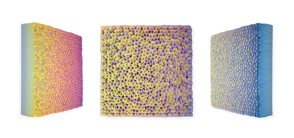 Zhuang Hong-Yi, Harmony in Hue, 2024